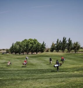 people walking on green grass field carrying golf bags